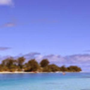 Meet your Posher, Ella